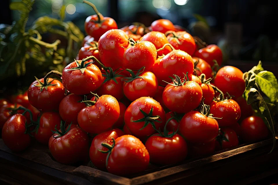 tomaten